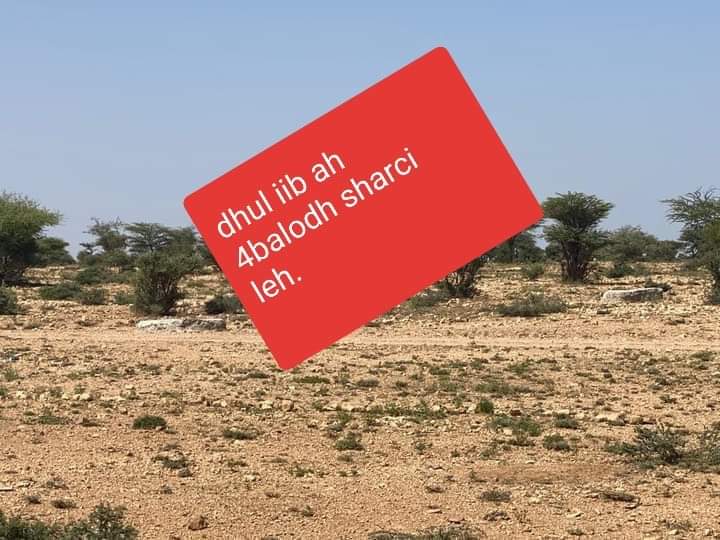 Dhul iib ah Hargeisa, Somaliland. Xafaada Masalaha