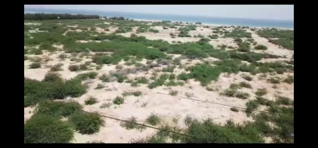 Land for sale in Berbera