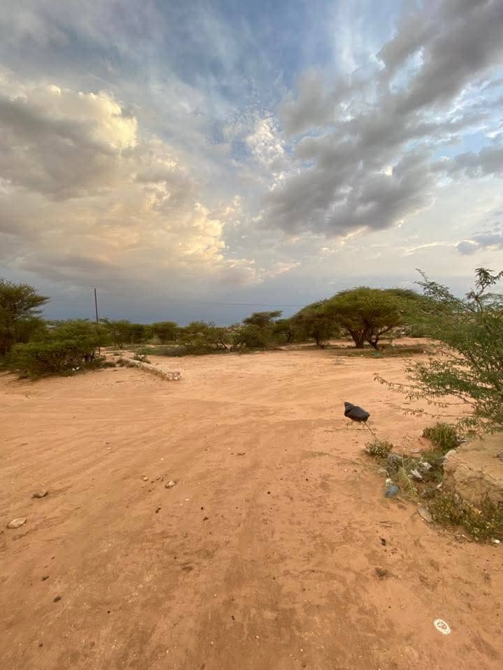 1 baloodh oo iib ah hargeisa