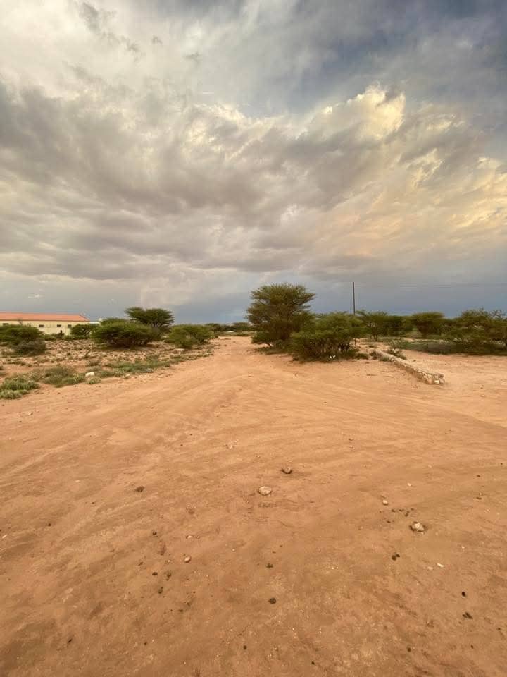 1 baloodh oo iib ah hargeisa