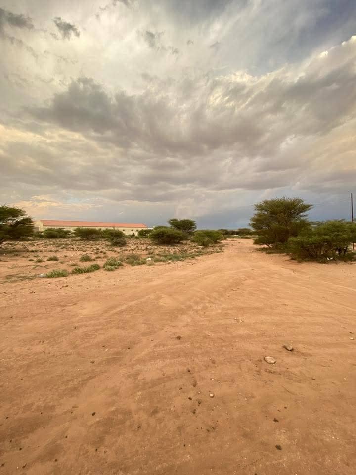 1 baloodh oo iib ah hargeisa