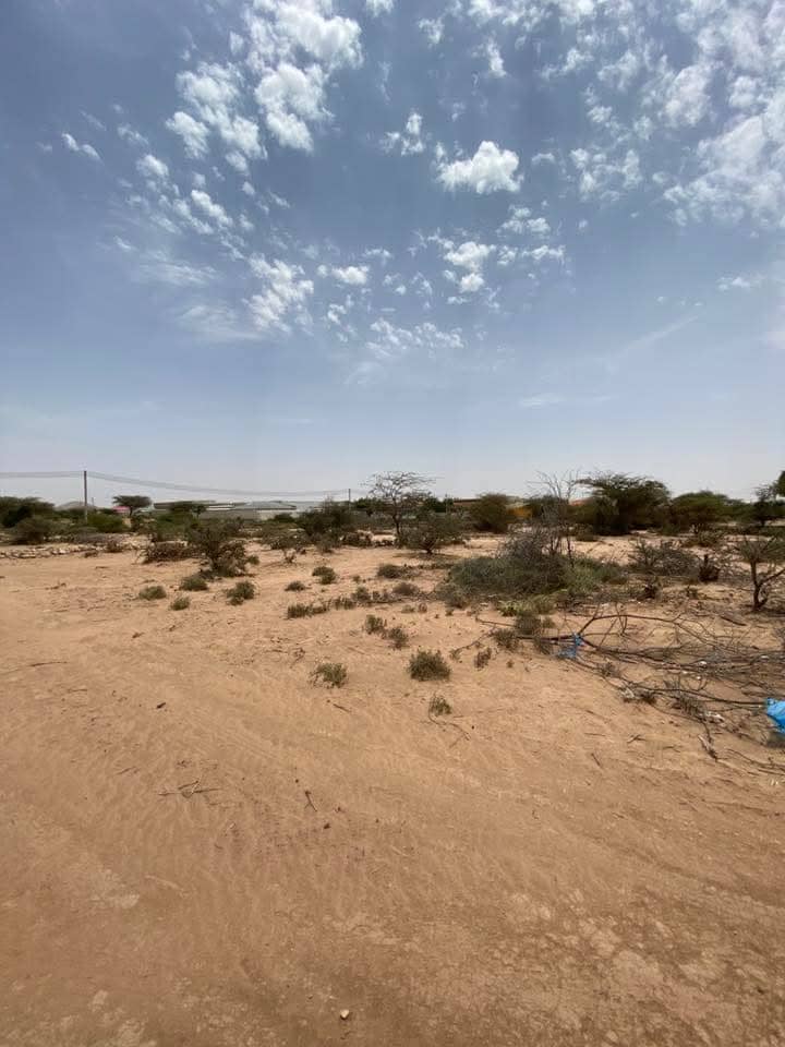 2aba baloodh oo iib hargeisa